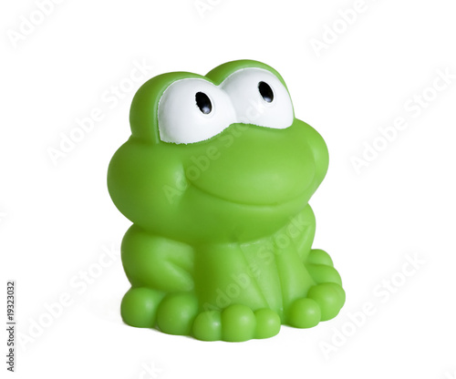 toy rubber frog on white background