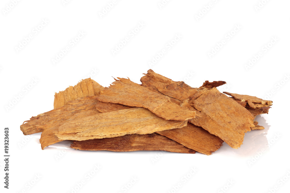 Astragalus Root Astragalus Root