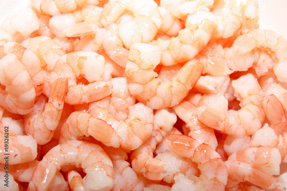 crevettes crevettes