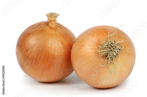 onions closeup white background