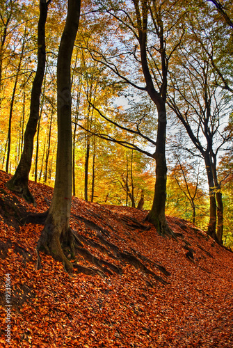 Autumn Colours © valsadore