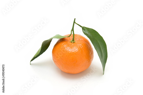 Close-up of an orange clementine with green leaves photo