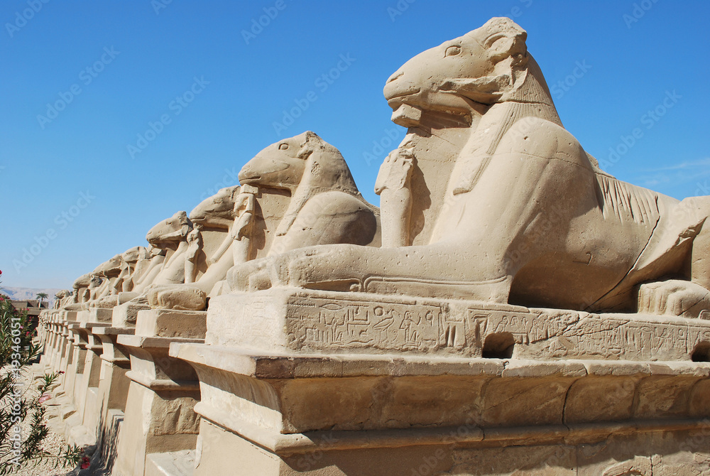 Egyptian Row of Sphinxes