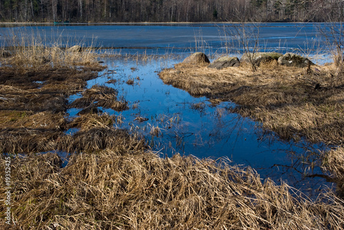 Spring landscape photo