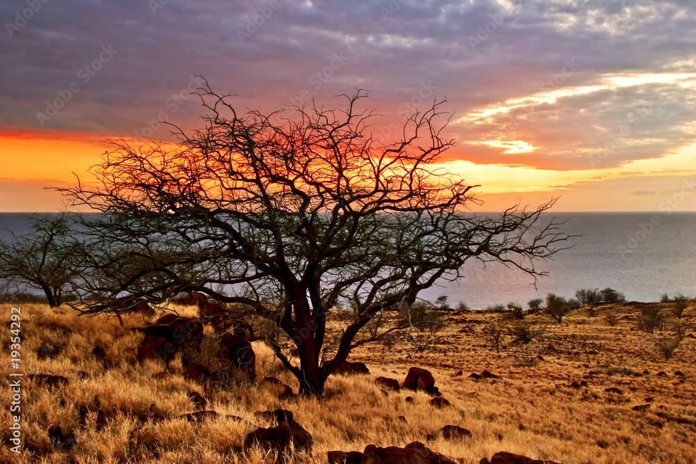 Naklejka premium Tropical sunset on the Big Island. Hawaii. USA.