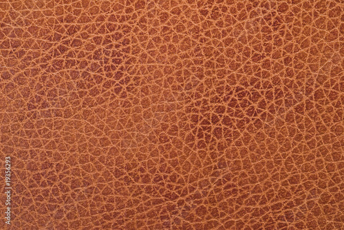 Obraz na płótnie Textura de cuero natural.