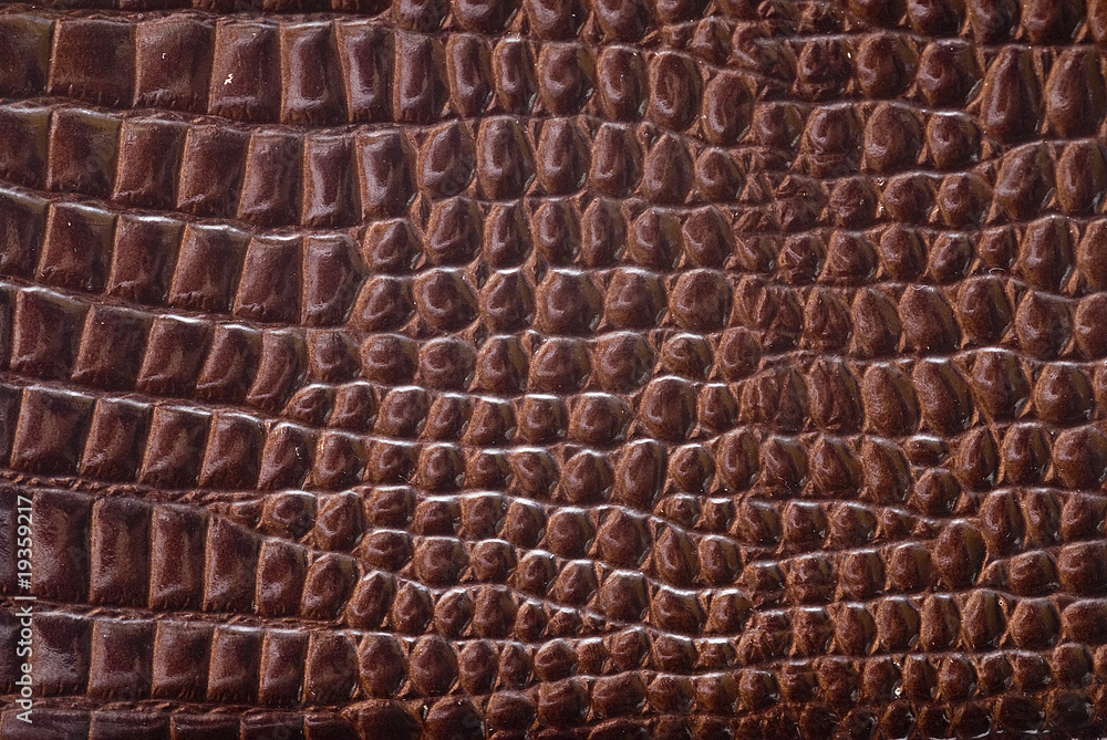 Textura de piel de cocodrilo. foto de Stock | Adobe Stock