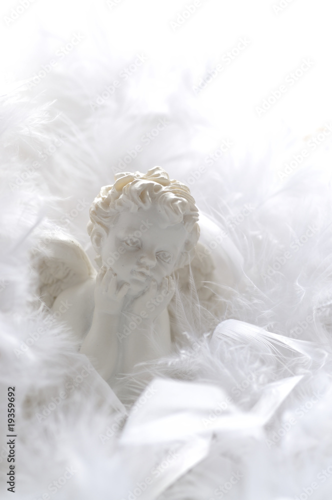 Angel in feathers