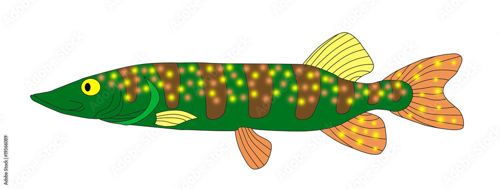 abstract colorful fish abstract colorful fish