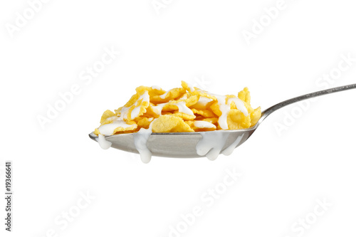 Corn flakes on the spoon with milk.