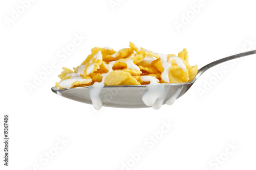 Corn flakes on the spoon with milk.