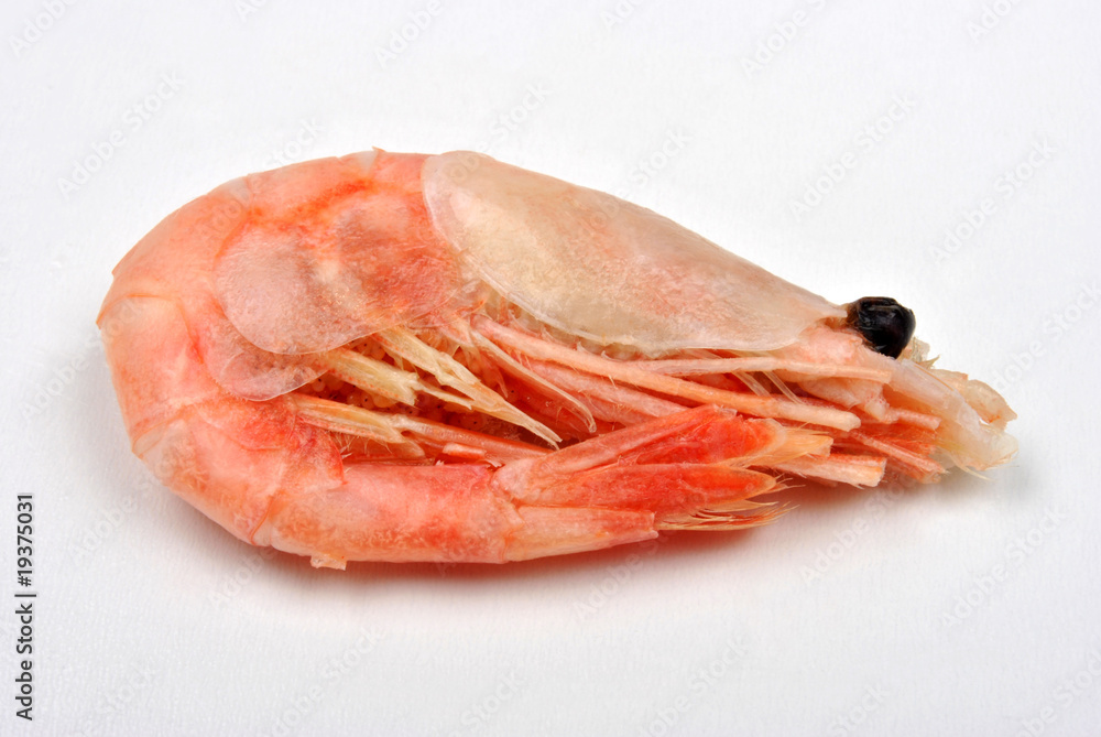 fresh organic prawns from the freezer fresh organic prawns from the freezer