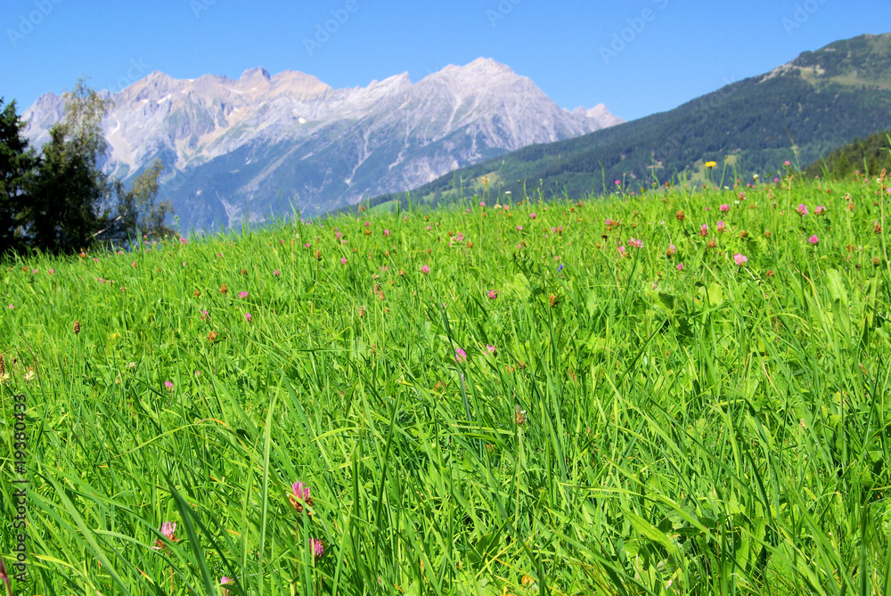 Fototapeta premium Venet mountain Venet 09