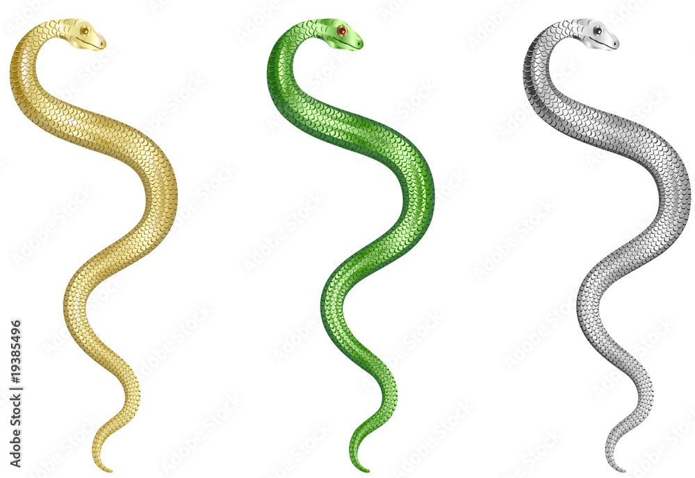 Snakes Set Snakes Set