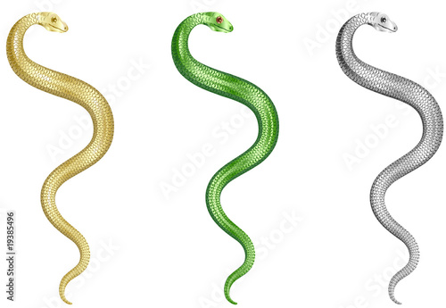 Snakes Set