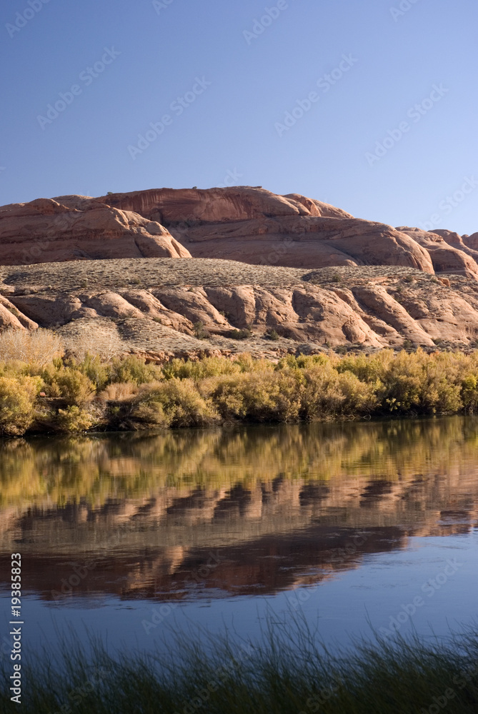 Reflections in the Colorado River Reflections in the Colorado River