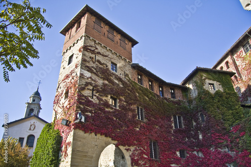 Castello di Tagliolo photo