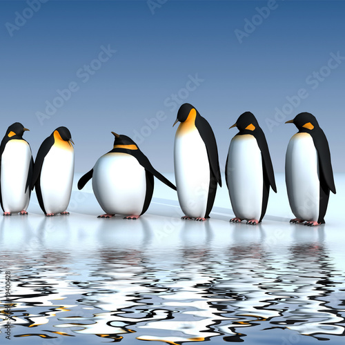 Fun penguins photo