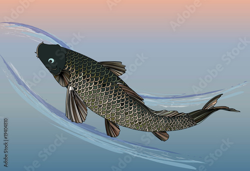 Japanese fish