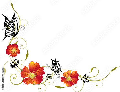 Frühling, Sommer, Blumen, Blüten, Ranke, flowers, floral