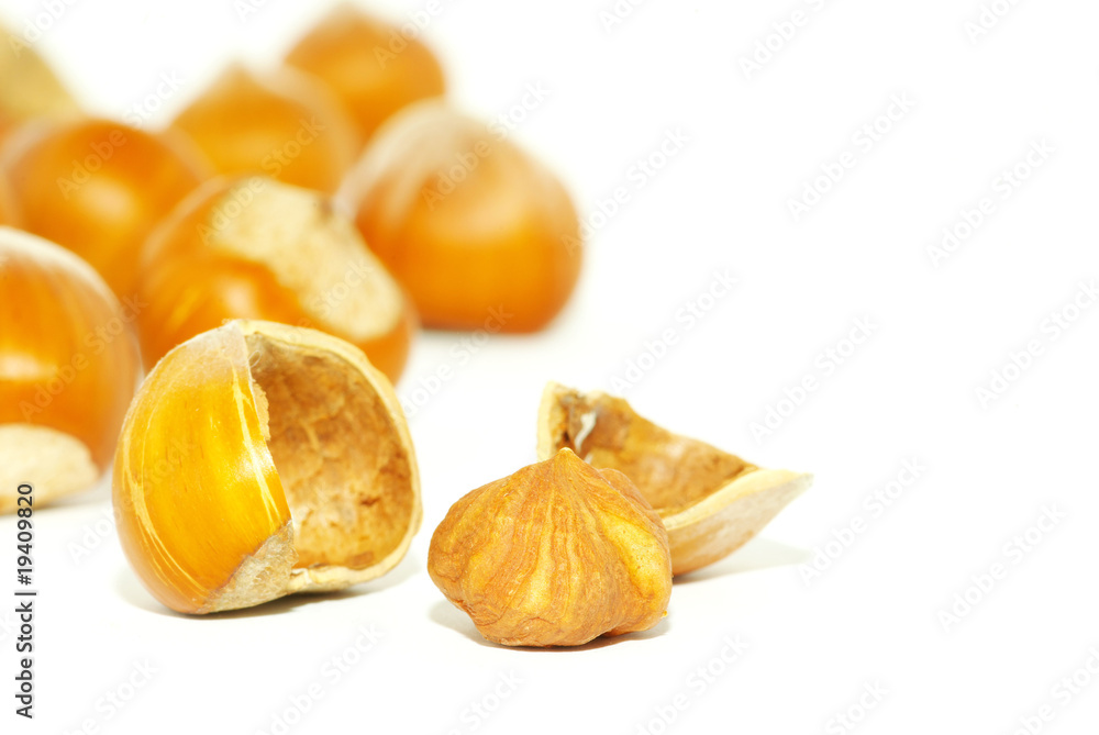 hazelnuts hazelnuts