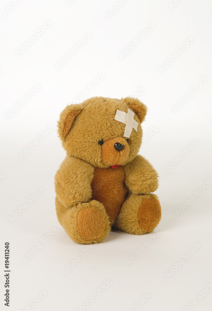 Obraz premium The toy.