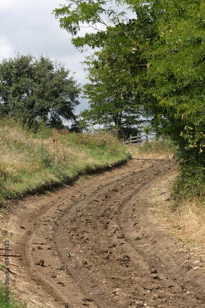 Fototapeta premium country road