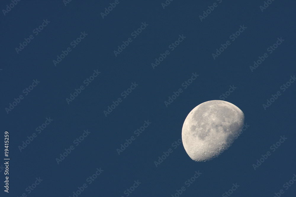 ascending moon ascending moon