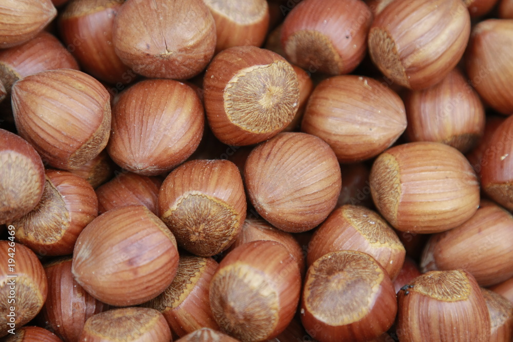 hazelnuts hazelnuts