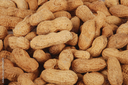 kabuklu yer fıstığı