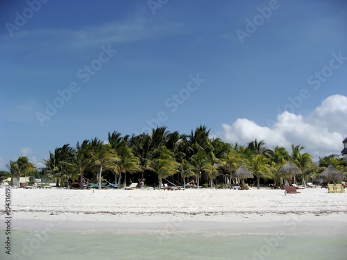 Palmen Isla Holbox photo