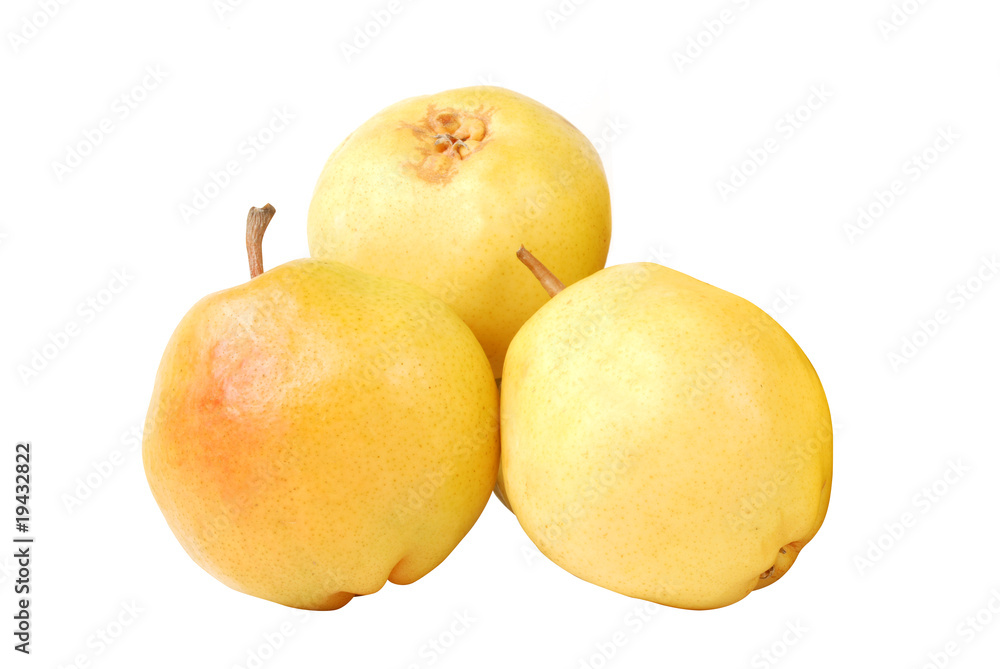 pear pear