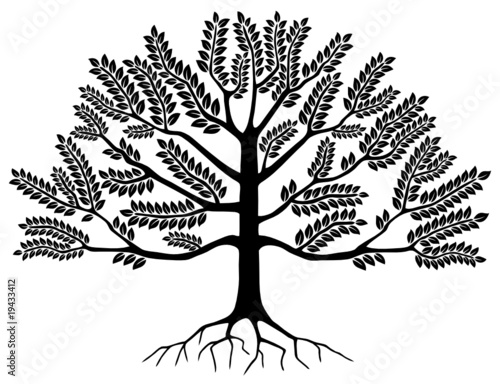 Arbre (Tree Silhouette Symbole Logo Dessin Illustration Vecteur) photo