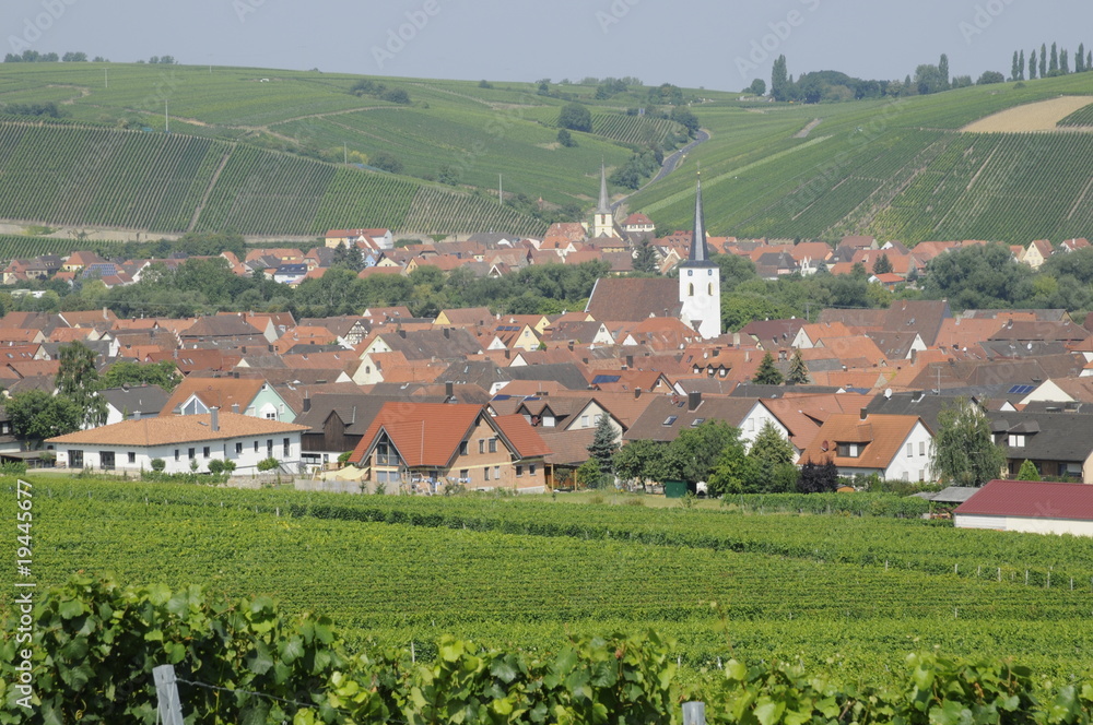 Weinberge bei Nordheim Weinberge bei Nordheim
