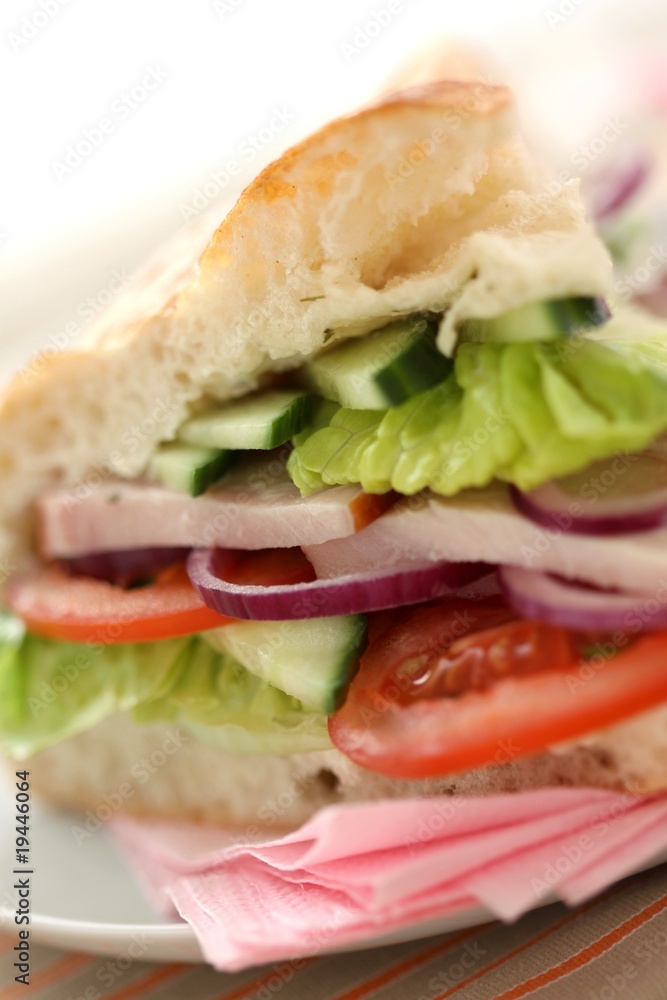 Flatbread sandwich with ham and vegetables Flatbread sandwich with ham and vegetables
