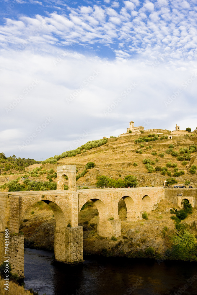 Fototapeta premium Roman bridge, Alcantara, Caceres Province, Extremadura, Spain