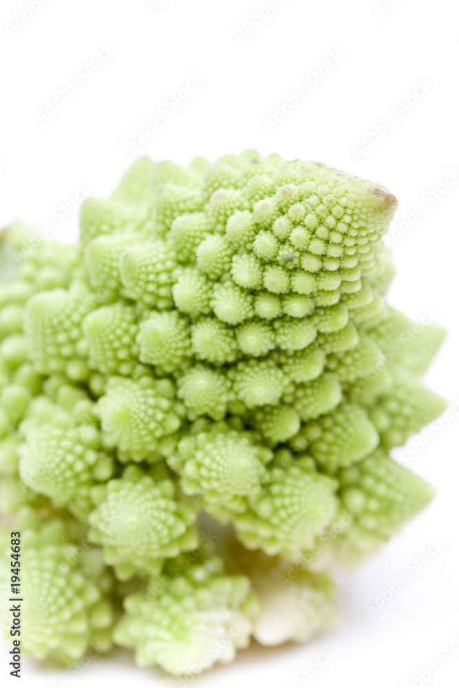 Romanesco auf weißem Hintergrund Romanesco auf weißem Hintergrund