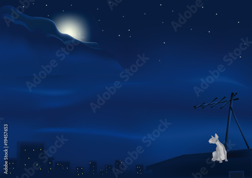 cat on an old roof at night and under the moon