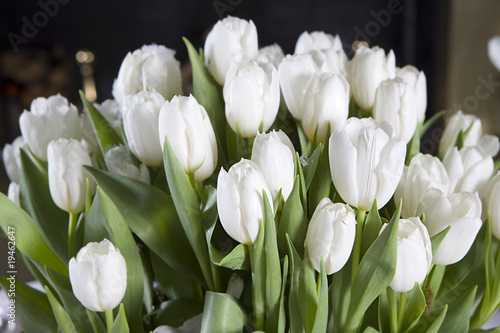 Decoration of dining table for Valentine s Day. White tulip.