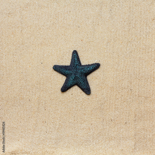 Blue starfish on the sea sand