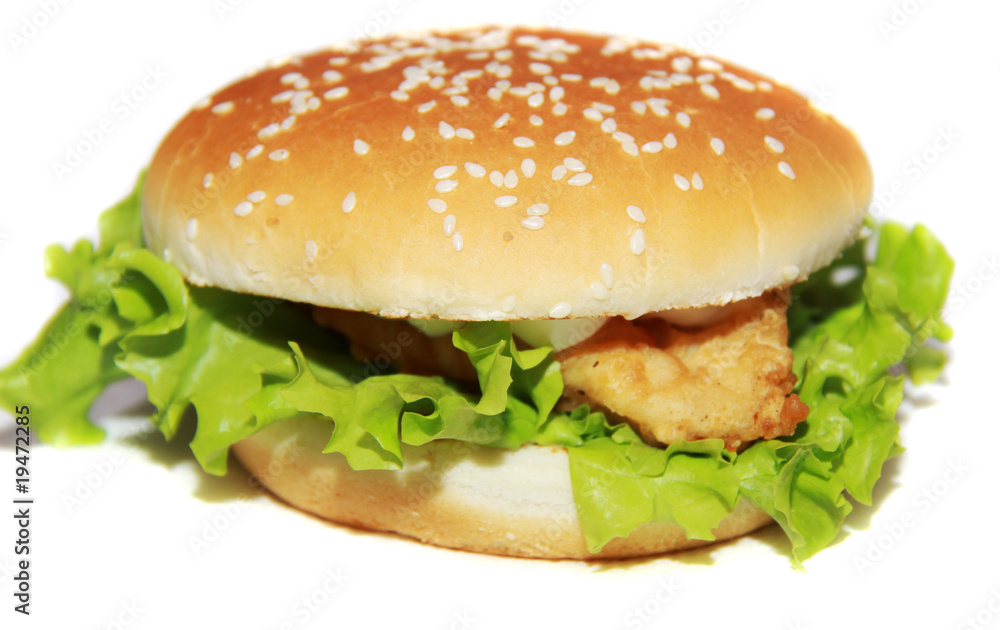 Tasty hamburger isolated on white background Tasty hamburger isolated on white background