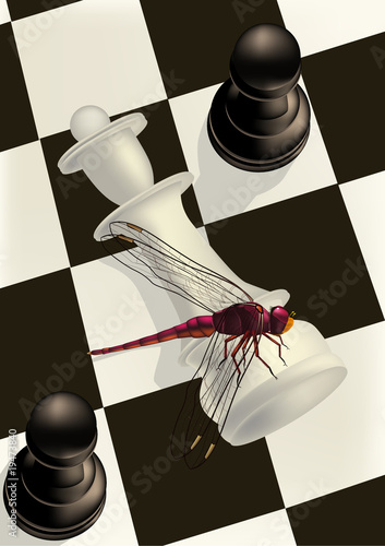 chess and a dragonfly