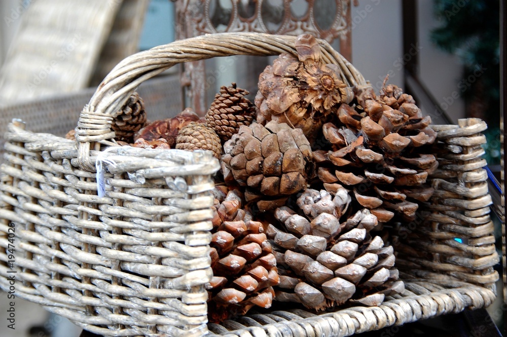 Obraz premium brocante goult