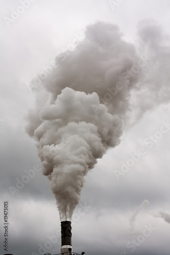 Dyrty smoke