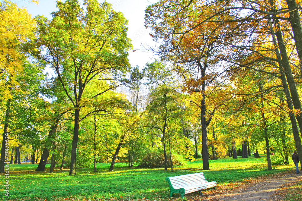 Naklejka premium park trees