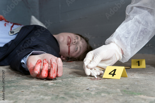 Obraz na plátně Collecting evidence