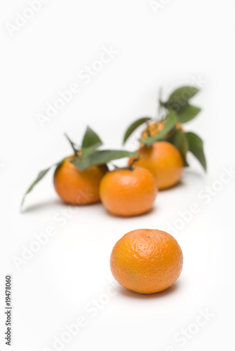oranges with leaves backgrounds