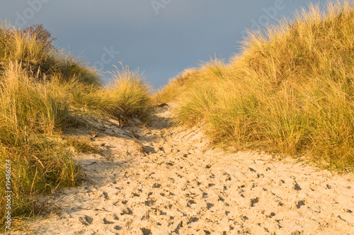 Dünenlandschaft auf Nordseeinsel Juist