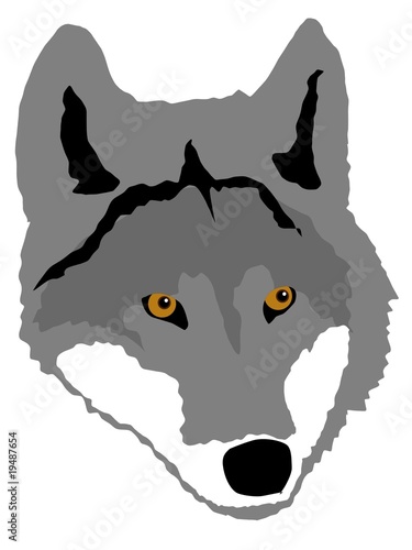 wolf