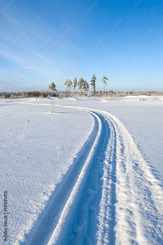 Obraz premium Traces snowmobile